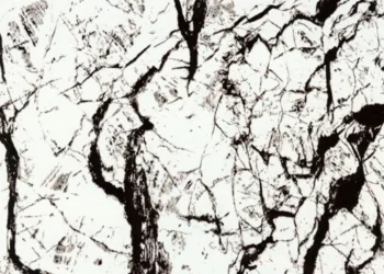 201 Black Vein