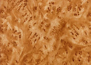 150 Caramel Birdseye