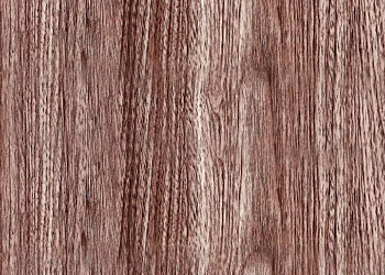 208 Eci Walnut Match
