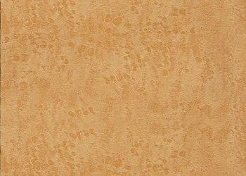 263 Butterscotch Figured Maple