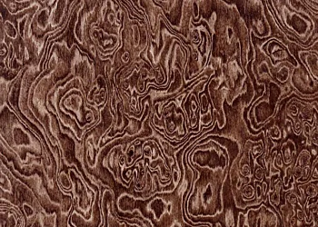 293 Swirl Burlwood