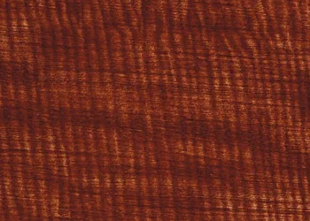 295 Medium Brown Willow
