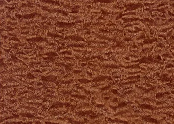 296 Auburn Maple