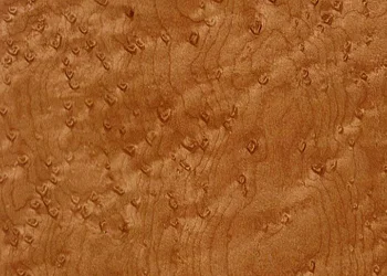 316 Birdseye Maple