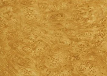 326 Blonde Carpathian Elm – Burlwood