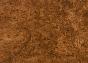 369 Carpathian Elm Burlwood