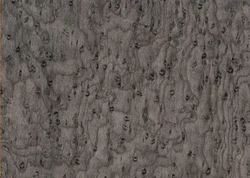 377 Silver Burl