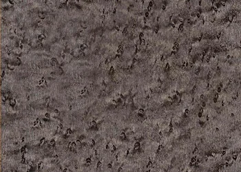 387 Grey Birdseye