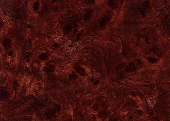 434 Regal Burl