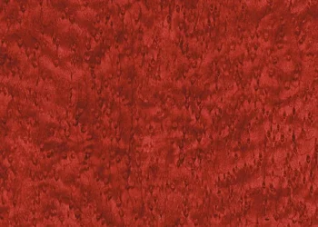 624 Burgundy Burl