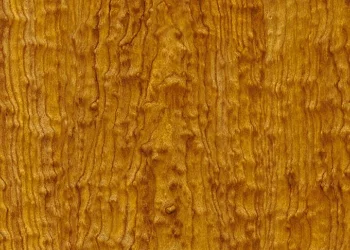 934 Starry Maple