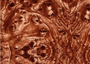 117 Burlwood Grain