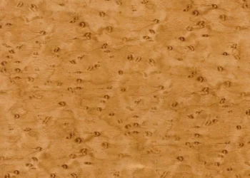 219 Burlwood Gold