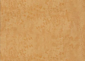 263 Butterscotch Figured Maple