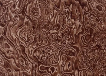 293 Swirl Burlwood