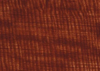 295 Medium Brown Willow