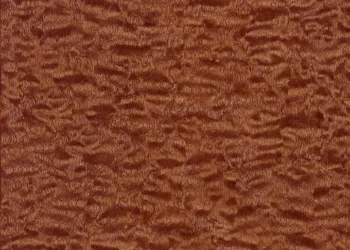 296 Auburn Maple