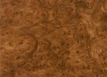 369 Carpathian Elm Burlwood