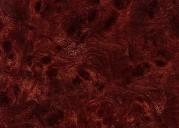 434 Regal Burl