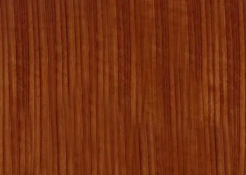 480 Figured Cedar