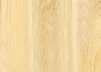 489 Eastern White Cedar