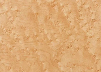 501 Birdseye Maple