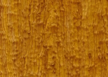 934 Starry Maple