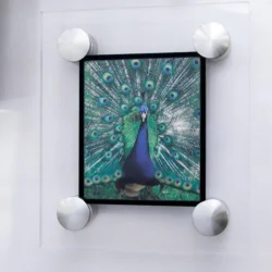 Ag artwork framing 36