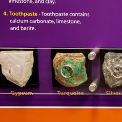 Ag exhibits museums 29