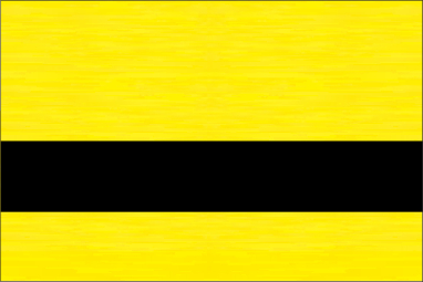 Yellow/Black