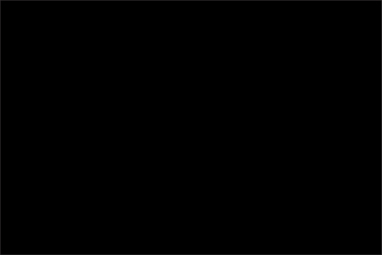 Clear/Black