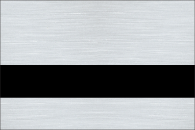 Brushed Aluminum/Black