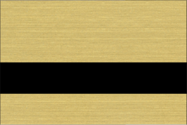Brushed Gold/Black