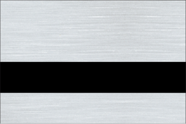 Brushed Aluminum/Black