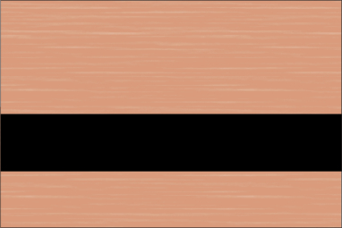 Brushed Amber Bronze/Black
