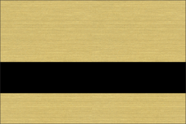 Metallic Brushed Gold/Black