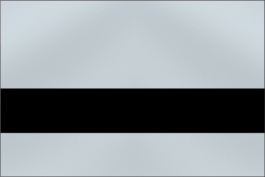 Metallic (Mirror) Bright Silver/Black