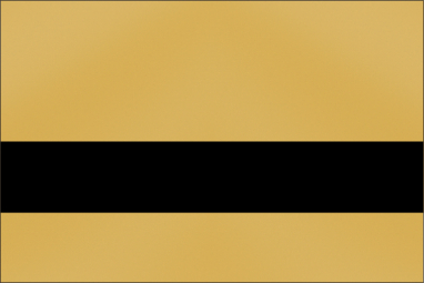 Smooth Gold/Black