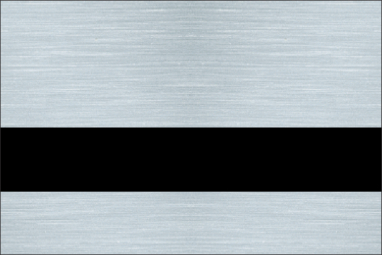 Brushed Silver/Black