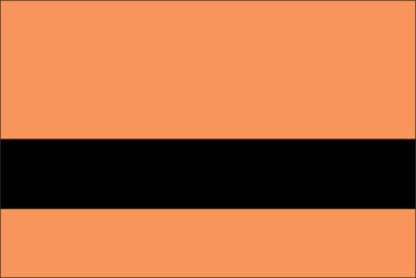 Awesome Orange/Black