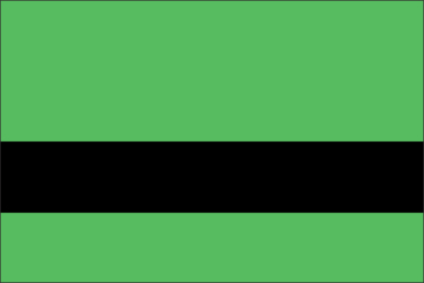 Radical Green/Black
