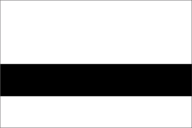 Laser White/Black