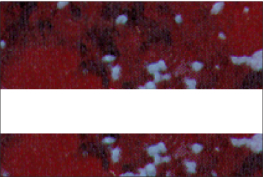 Wild Cranberry Marble/White