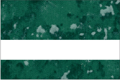 Verde Green Marble/White