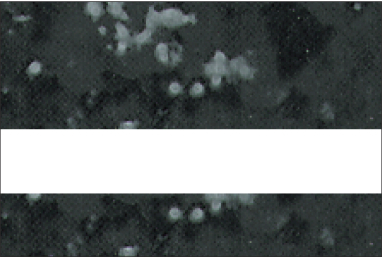 Deep Charcoal Marble/White