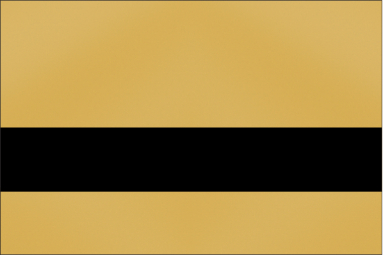 Smooth Gold/Black
