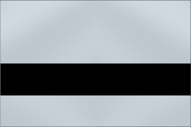 Smooth Silver/Black