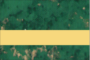 Verde Green Gold Fleck Marble/Bright Gold