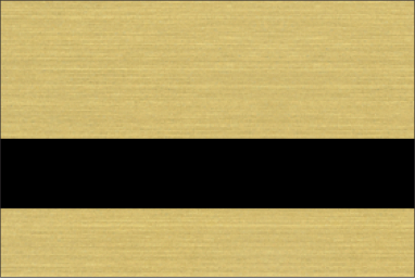 Brushed Gold/Black
