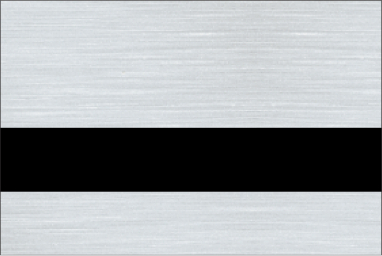 Brushed Aluminum/Black